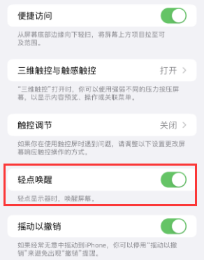 涪城苹果授权维修站分享iPhone轻点无法唤醒怎么办 