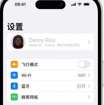 涪城appleID维修服务iPhone设置中Apple ID显示为灰色无法使用