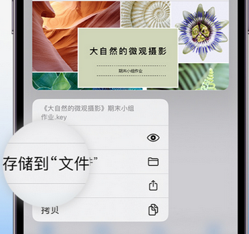 涪城apple维修中心分享iPhone文件应用中存储和找到下载文件