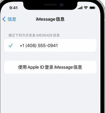 涪城apple维修iPhone上无法正常发送iMessage信息 