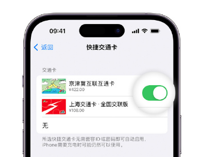 涪城apple维修点分享iPhone上更换Apple Pay快捷交通卡手绘卡面 