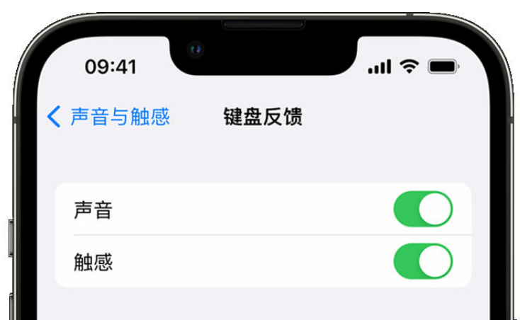 涪城苹果手机维修分享iPhone 14触感键盘使用方法 