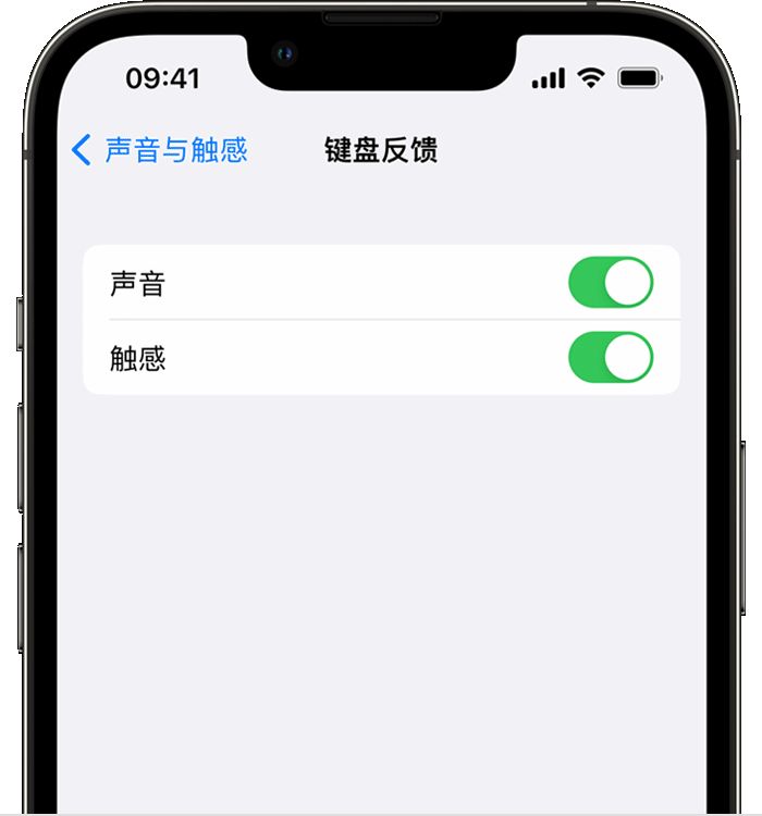 涪城苹果14维修店分享如何在 iPhone 14 机型中使用触感键盘 