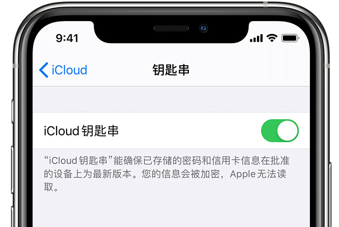 涪城苹果手机维修分享在 iPhone 上开启 iCloud 钥匙串之后会储存哪些信息 