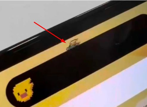 涪城苹果14维修分享iPhone 14 Pro Max灵动岛怎么养宠物 