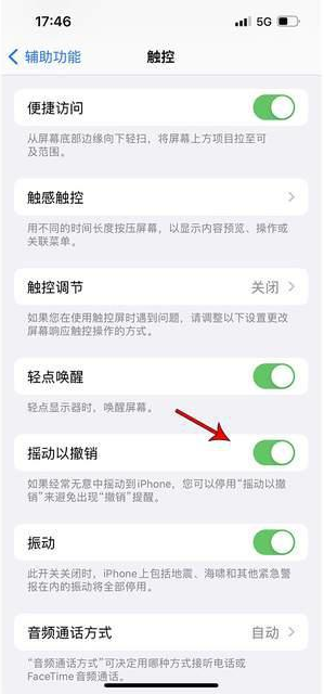 涪城苹果手机维修分享iPhone手机如何设置摇一摇删除文字 