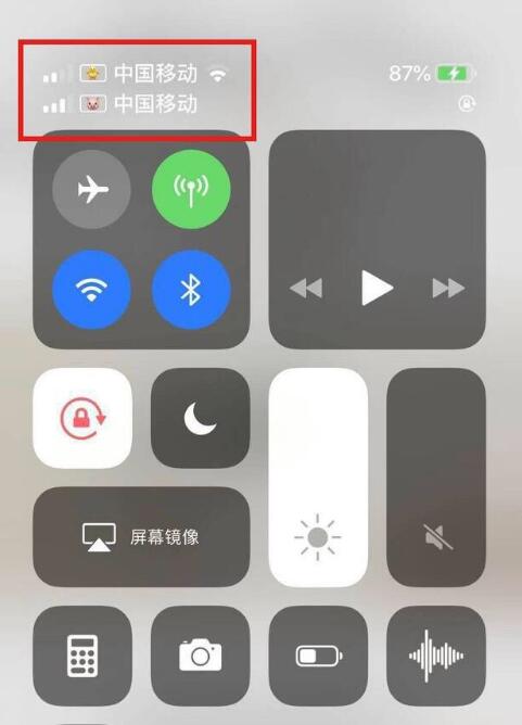 涪城苹果手机维修分享为 iPhone 12 双卡设置标签 