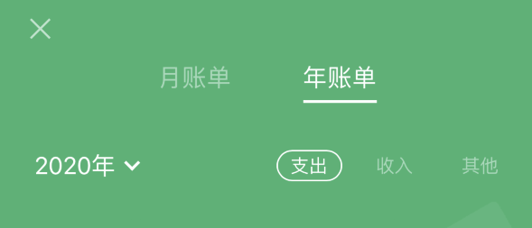 涪城苹果手机维修分享如何在 iPhone 上查看支付宝和微信年支出账单 
