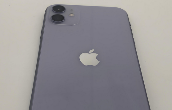 涪城苹果11系统维修分享iPhone11手机系统崩溃无法开机如何解决 