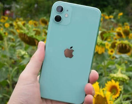 涪城苹果维修点分享iPhone 11锁屏密码认知与使用科普 